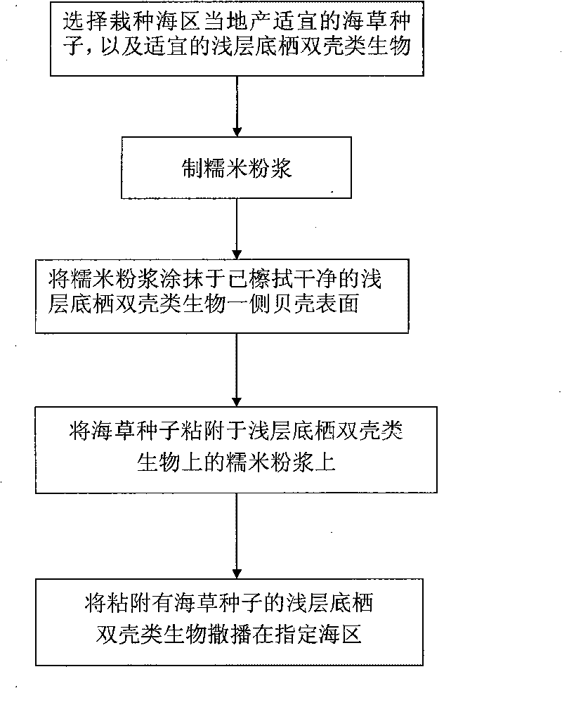 Seeding method of seaweed seeds