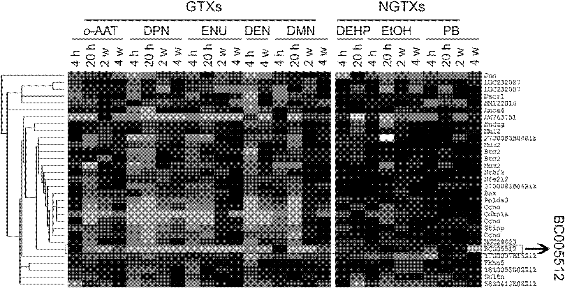 Method for detecting compound genotoxicity by biomarker and use of the biomarker