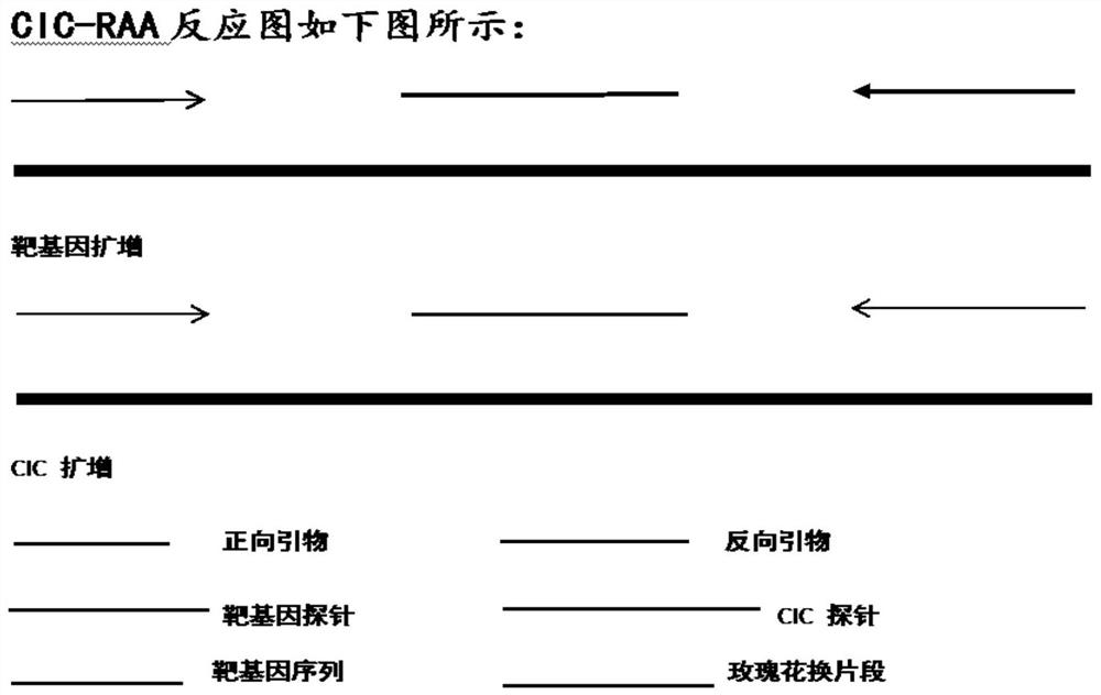 Primer probe combination and kit for detecting pathogen nucleic acids of human herpes virus and application of primer probe combination and kit