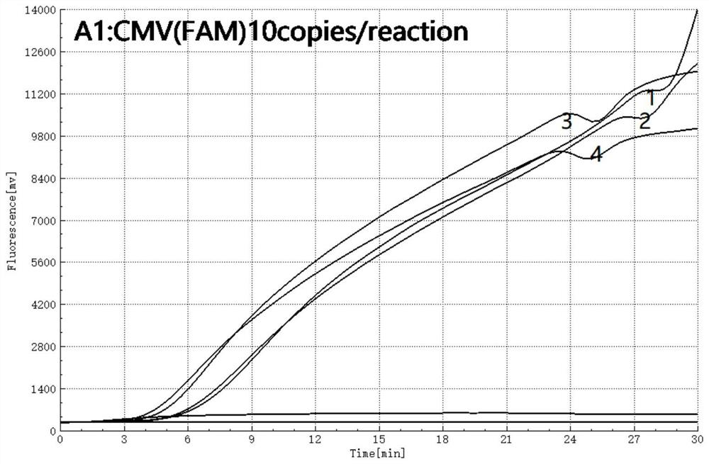 Primer probe combination and kit for detecting pathogen nucleic acids of human herpes virus and application of primer probe combination and kit