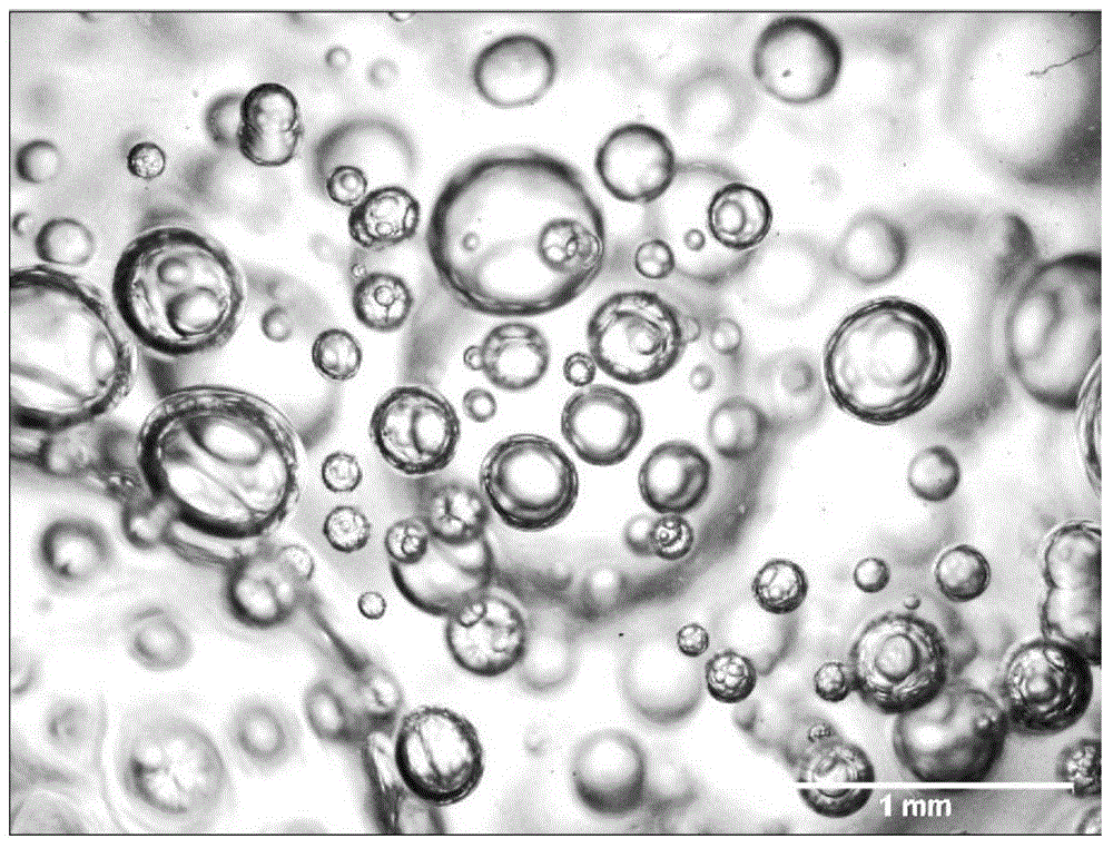 Bacterial cellulose porous foamed material and preparation method thereof