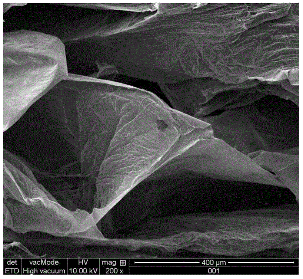 Bacterial cellulose porous foamed material and preparation method thereof