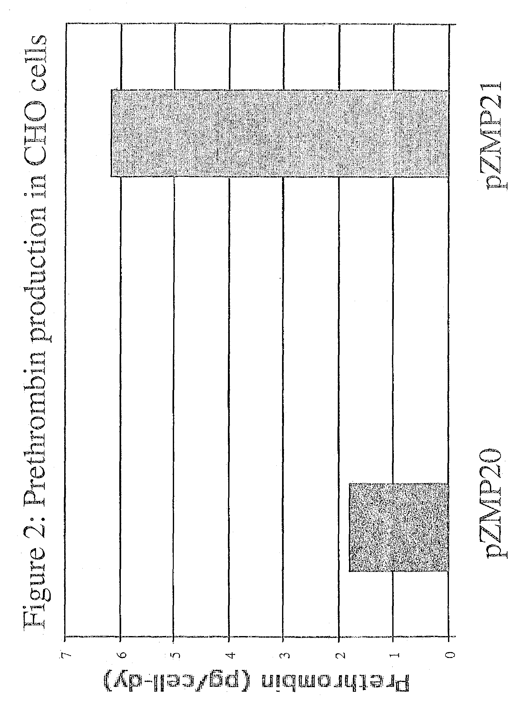 Hybrid vector having a cytomegalovirus enhancer and myeloproliferative sarcoma virus promoter