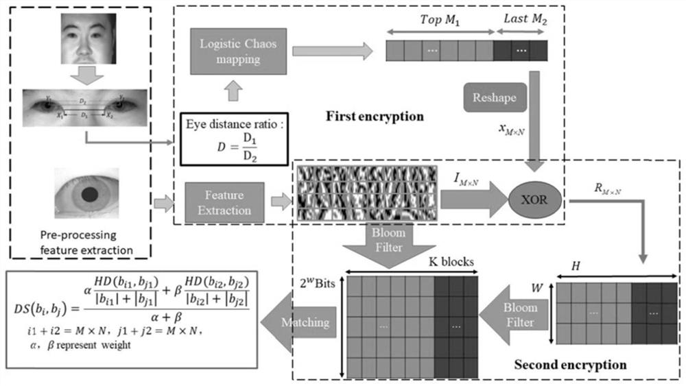 Multi-biological-feature iris template protection method based on double-hierarchical mapping