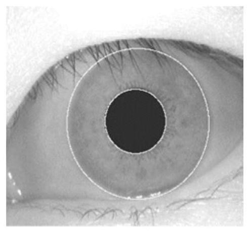 Multi-biological-feature iris template protection method based on double-hierarchical mapping