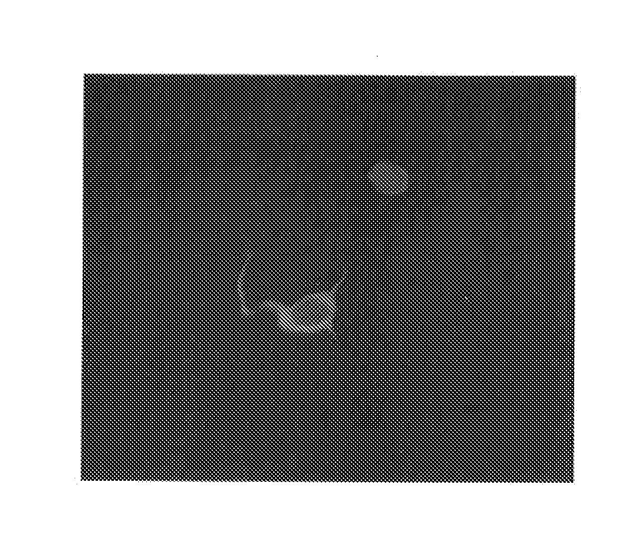 Magnetic cells for localizing delivery and tissue repair