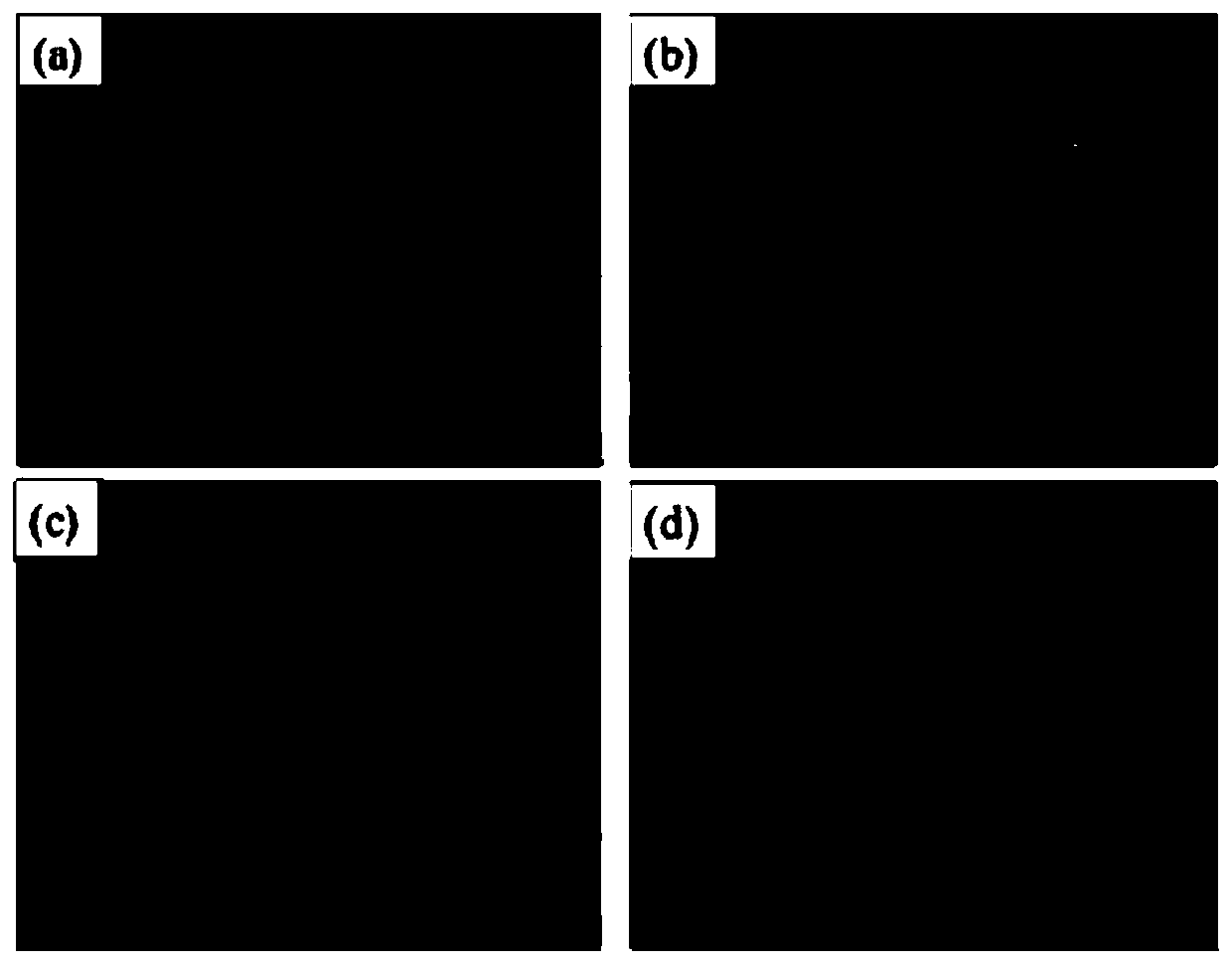 A microfiber composite molecular sieve membrane-loaded active component catalyst and its method and application