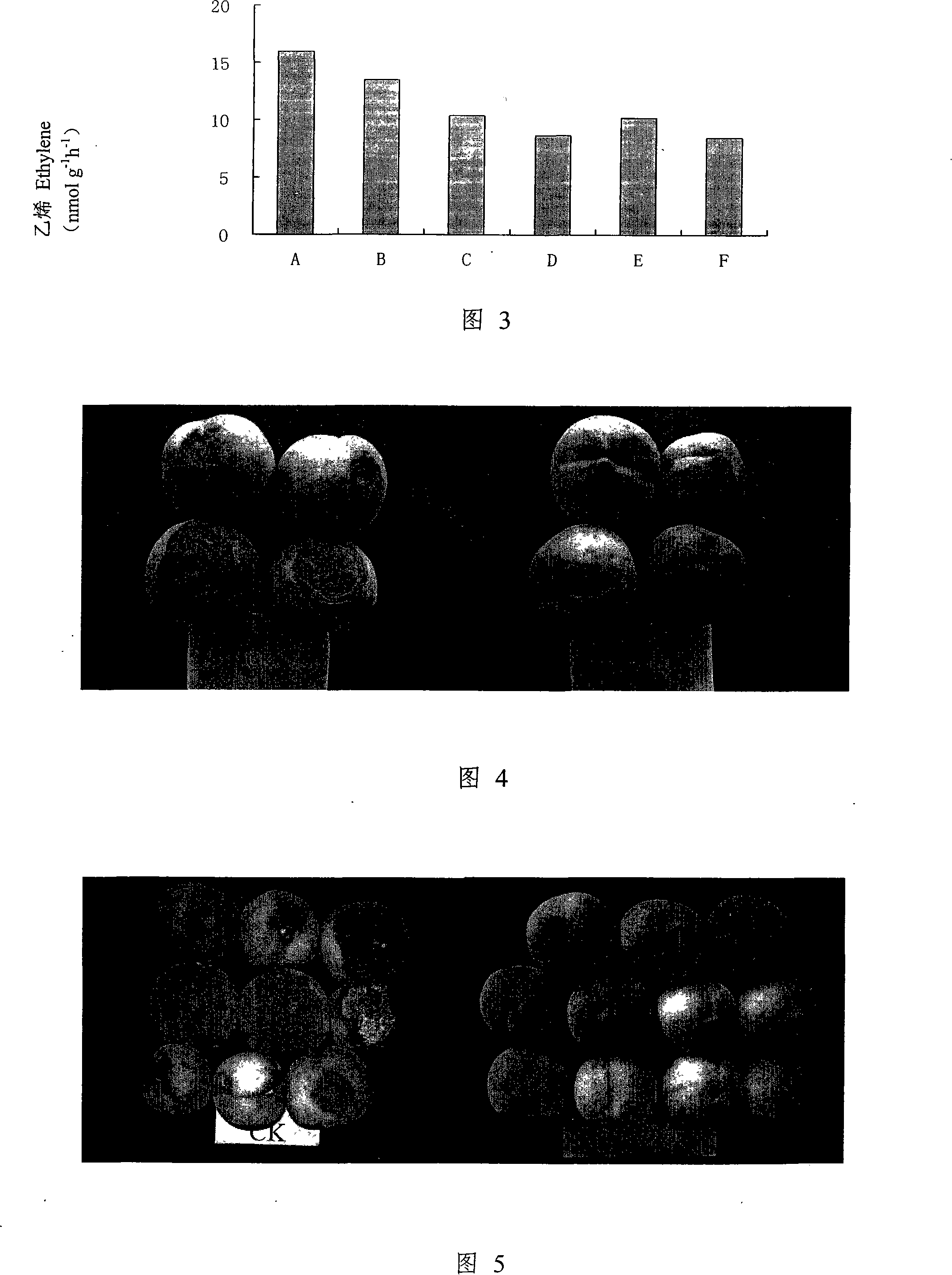 Method for storing and refreshing FeiCheng Peaches using nitric oxide