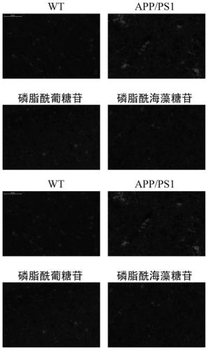 Method for preparing glycophosphoglyceride and application of glycophosphoglyceride