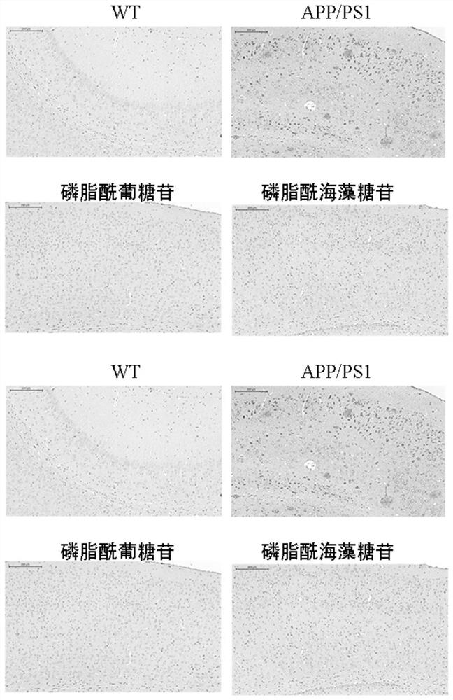 Method for preparing glycophosphoglyceride and application of glycophosphoglyceride