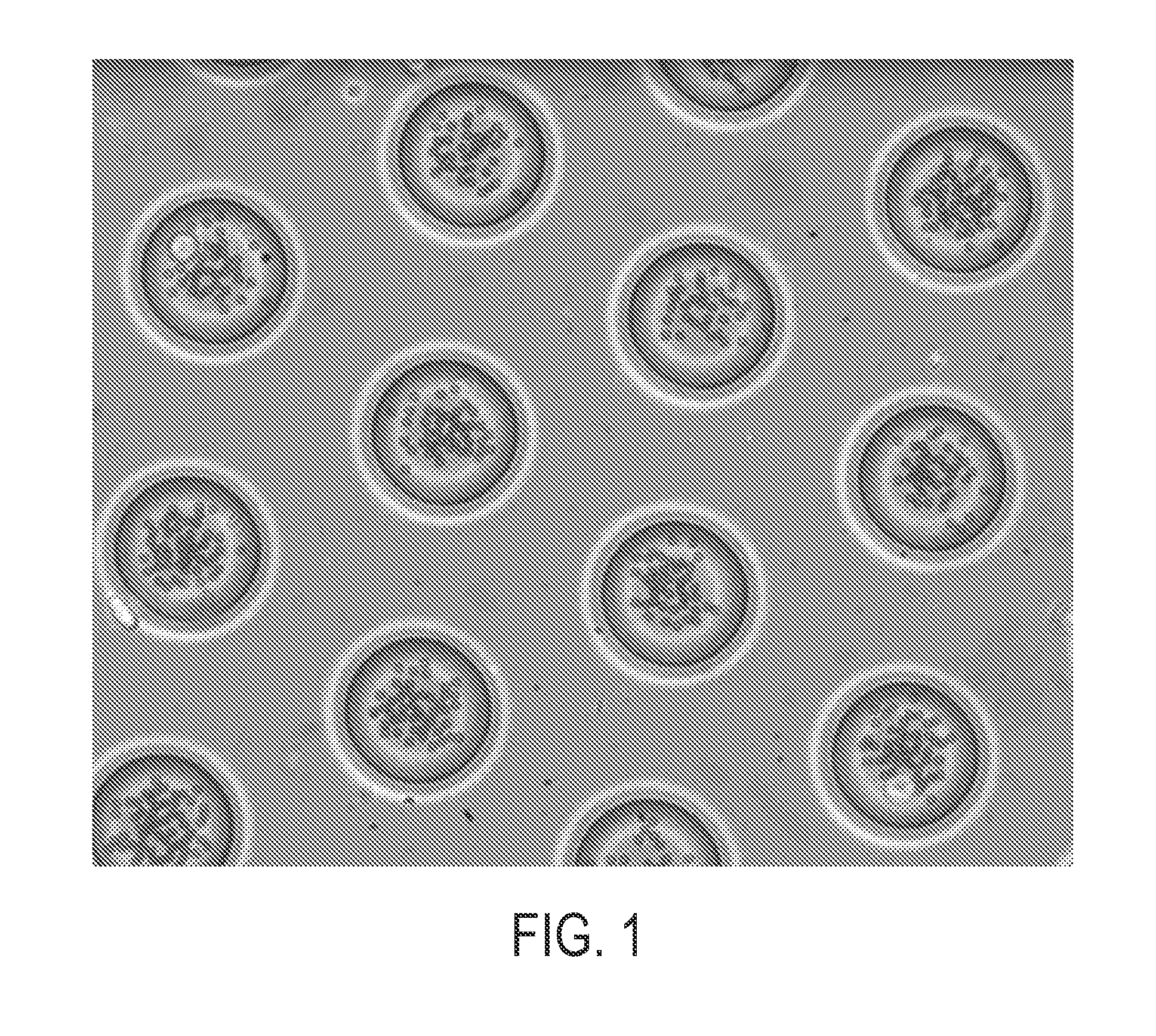 High throughput sequencing of multiple transcripts of a single cell