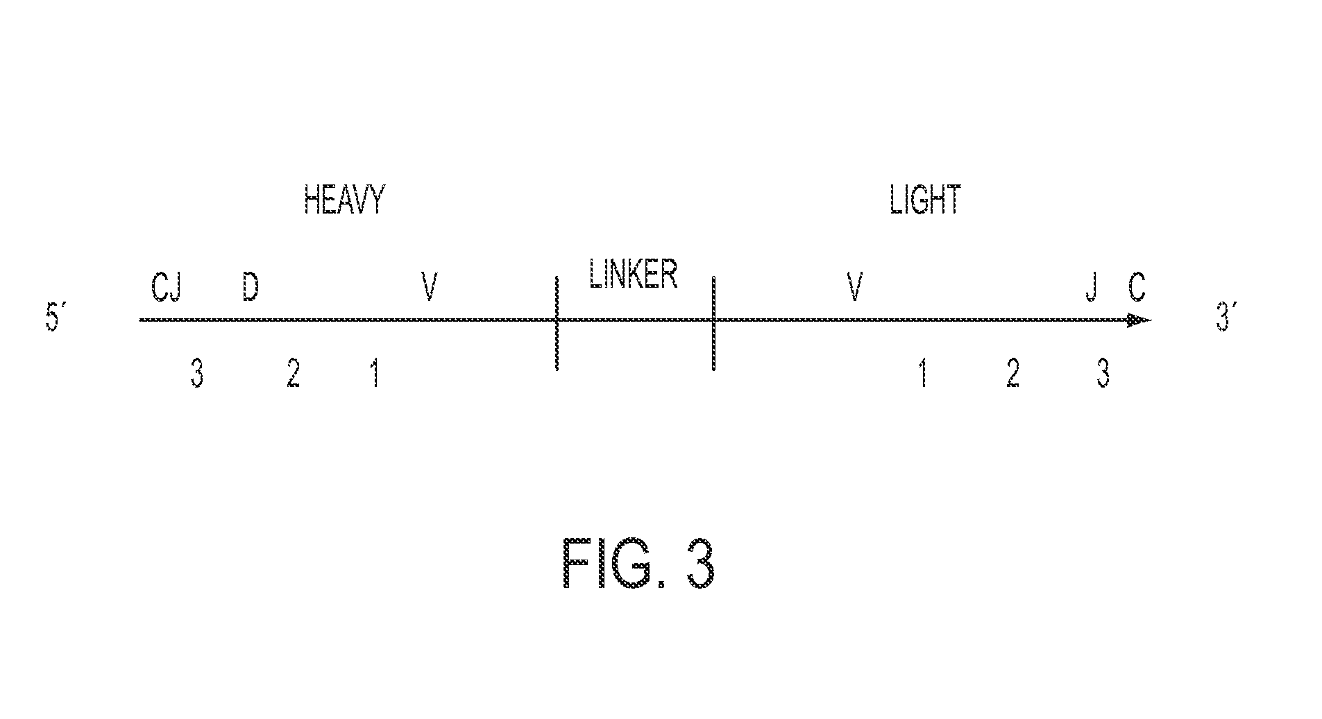 High throughput sequencing of multiple transcripts of a single cell