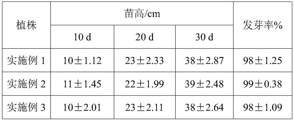 Culture method and application of high-yield cold-resistant stylosanthes guianensis