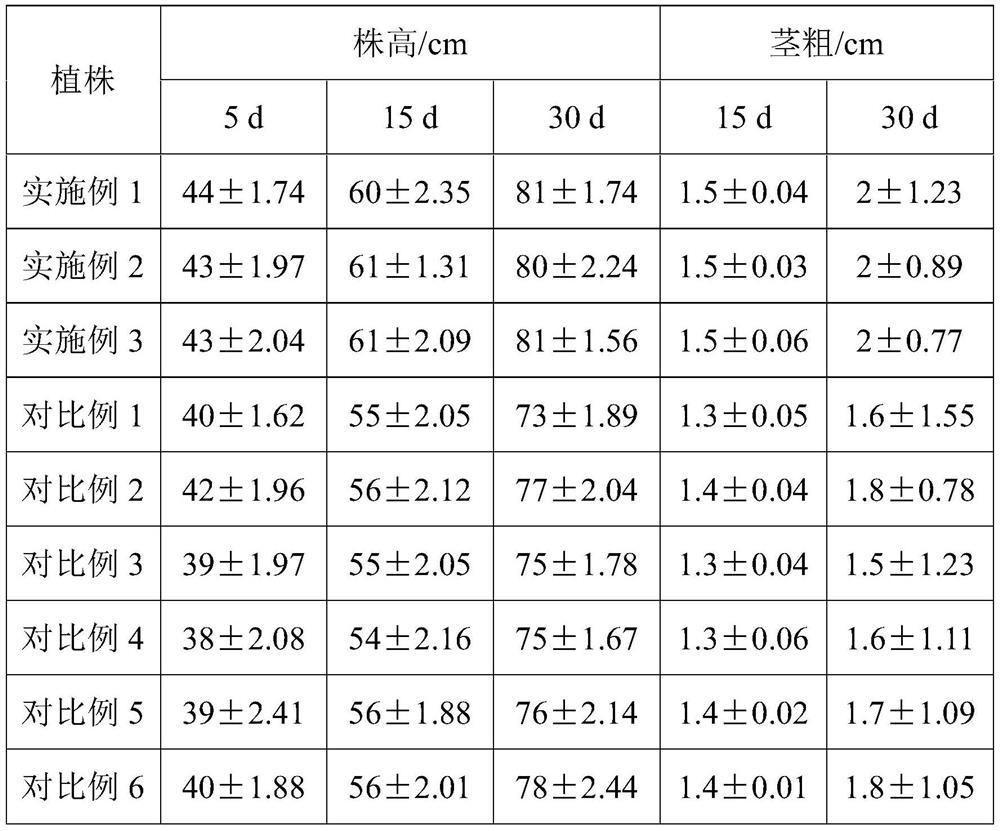 Culture method and application of high-yield cold-resistant stylosanthes guianensis