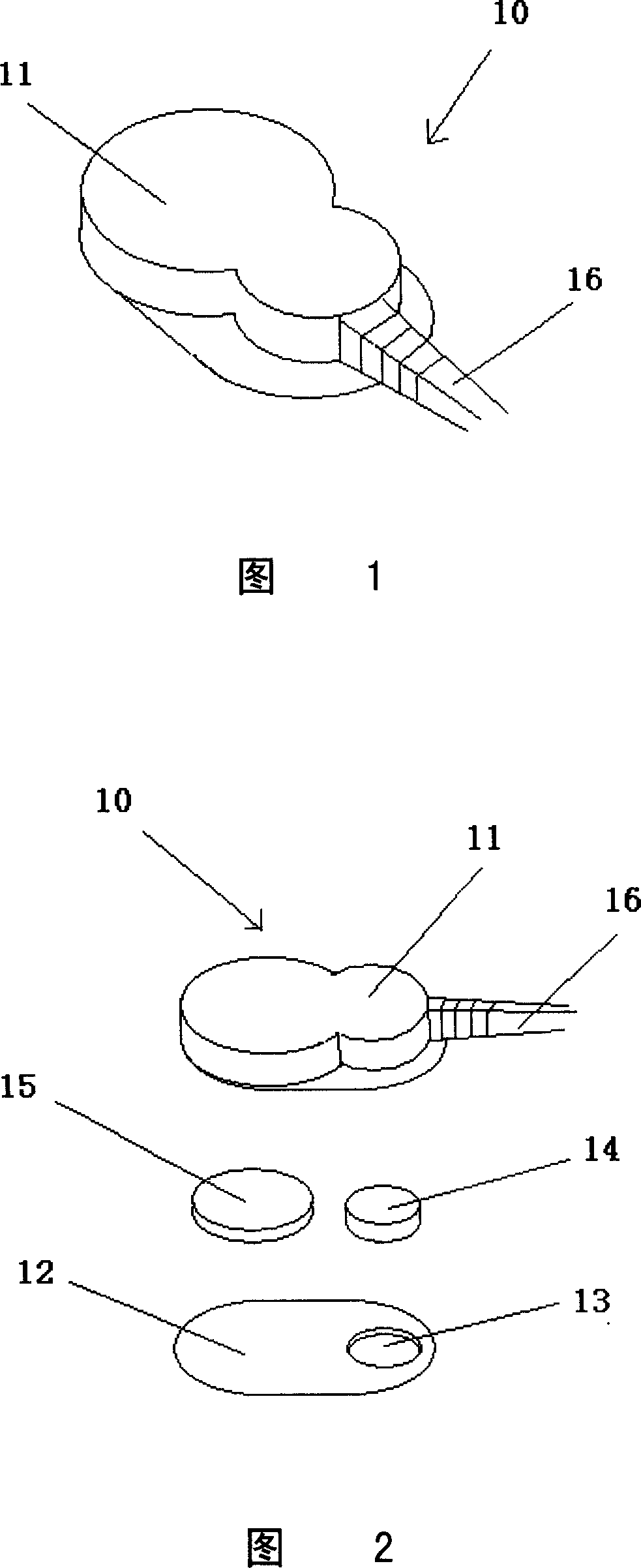 A physiological electrical signal collection device