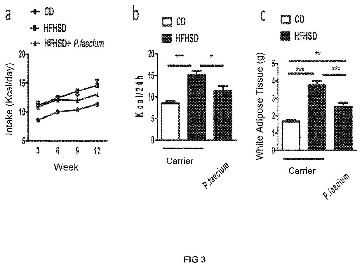 Phascolarctobacterium faecium for use in the prevention and treatment of obesity and its comorbidities