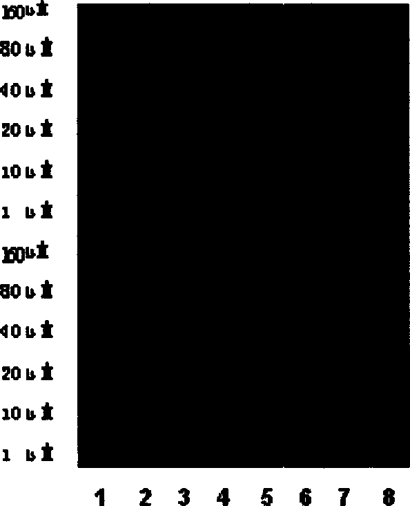 Gene chip surface processing method