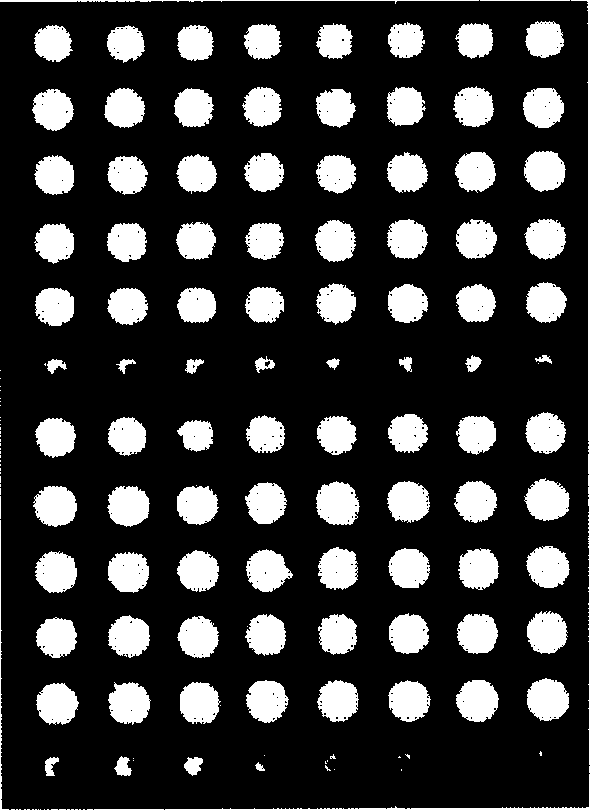 Gene chip surface processing method