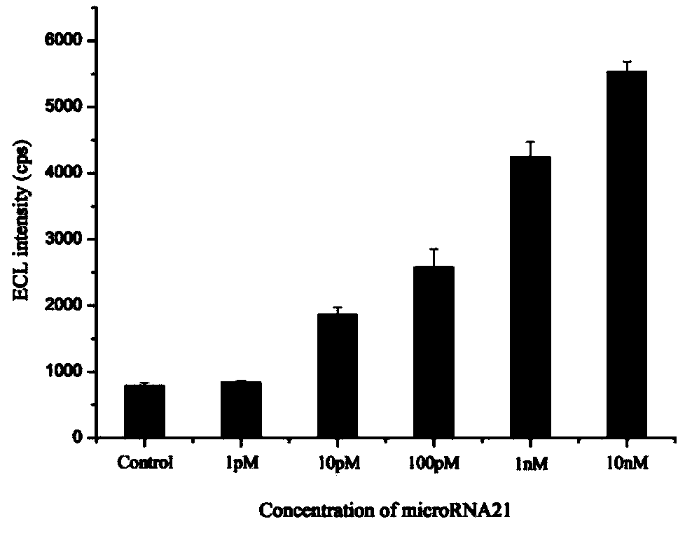 MicroRNA detection method based on non-enzymatic amplification and electrochemiluminescence principles