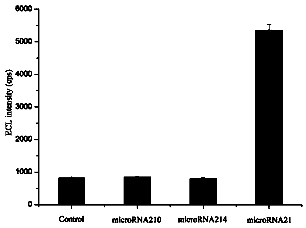 MicroRNA detection method based on non-enzymatic amplification and electrochemiluminescence principles