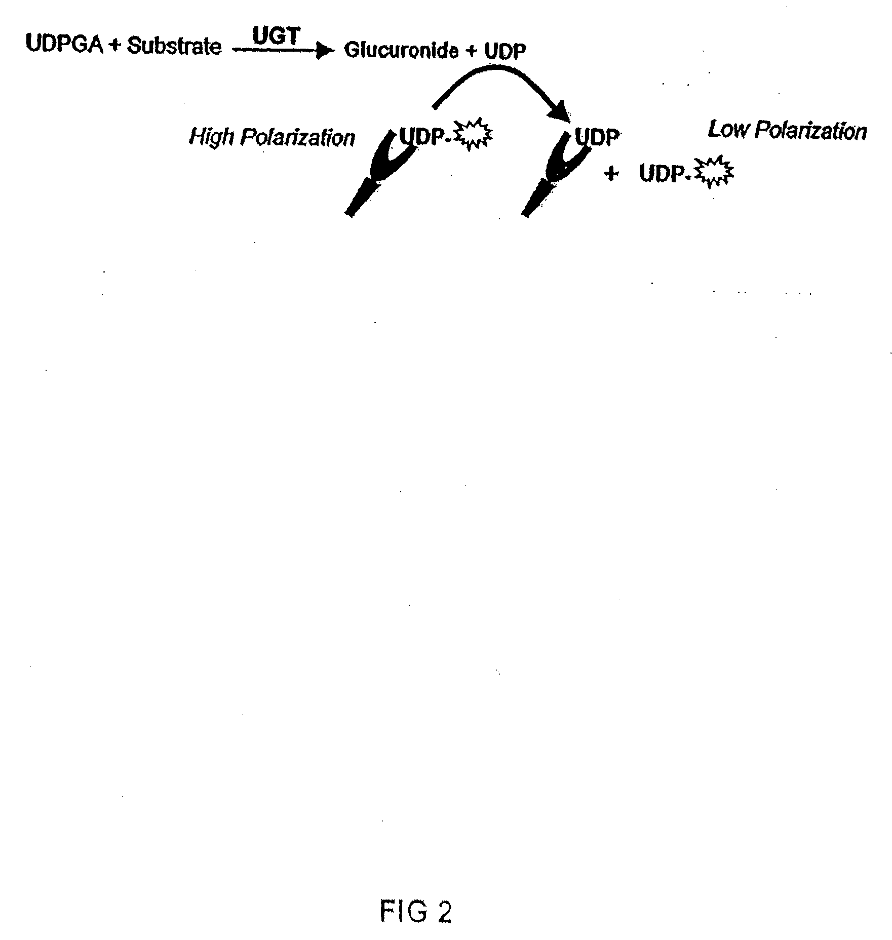 Assay Method for Group Transfer Reactions