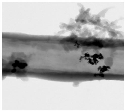 Preparation method of NiB/PANI nanofiber catalyst and application thereof in hydrogen production by sodium borohydride hydrolysis