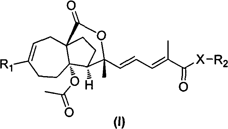 Pseudolarix acid derivatives as well as preparation method and application thereof