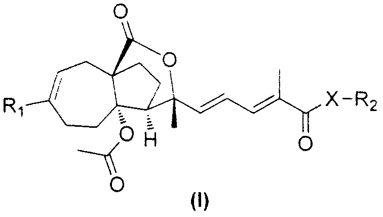 Pseudolarix acid derivatives as well as preparation method and application thereof