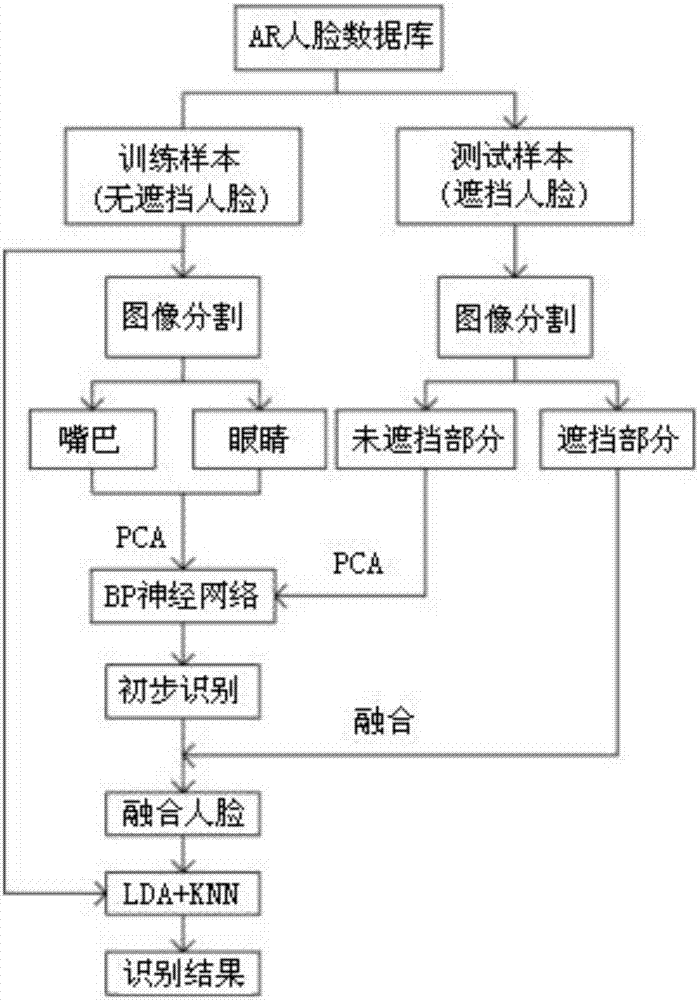 Human face recognition method for eliminating effect of local obstruction