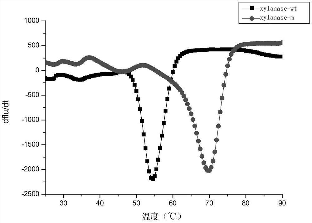 A kind of xylanase xylanase-m with high thermostability and its coding gene and application