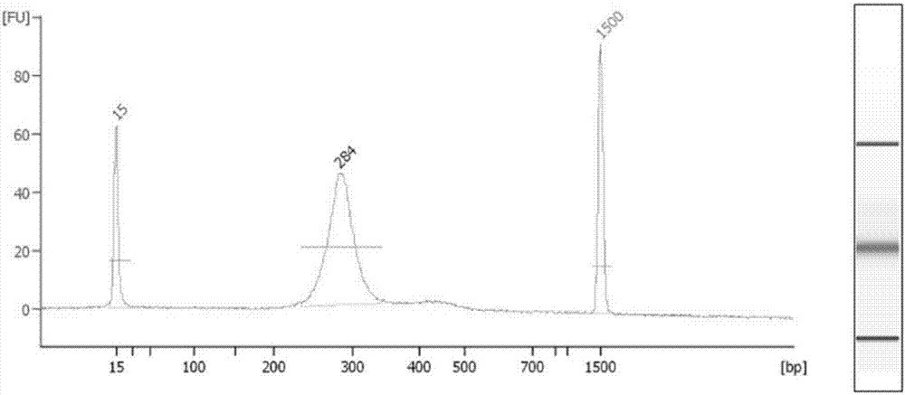 Construction method, kit and application of plasma free DNA methylation detection library