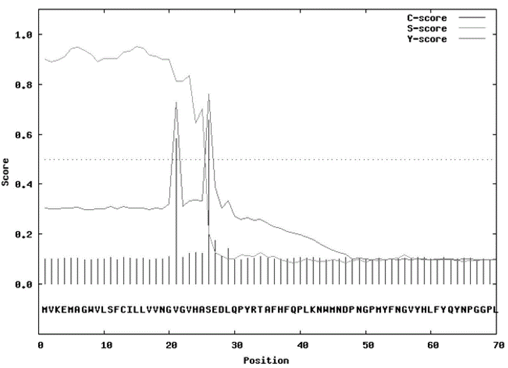 Helianthus tuberosus fructan-exohydrolases (Ht-FEH) gene and application thereof