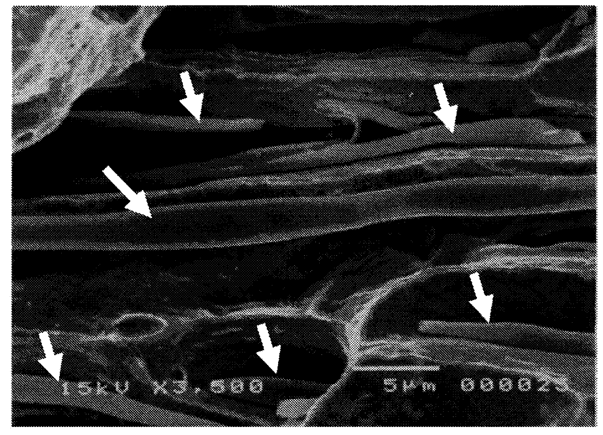 Free-cutting stainless-steel material for precision processing and process for producing same