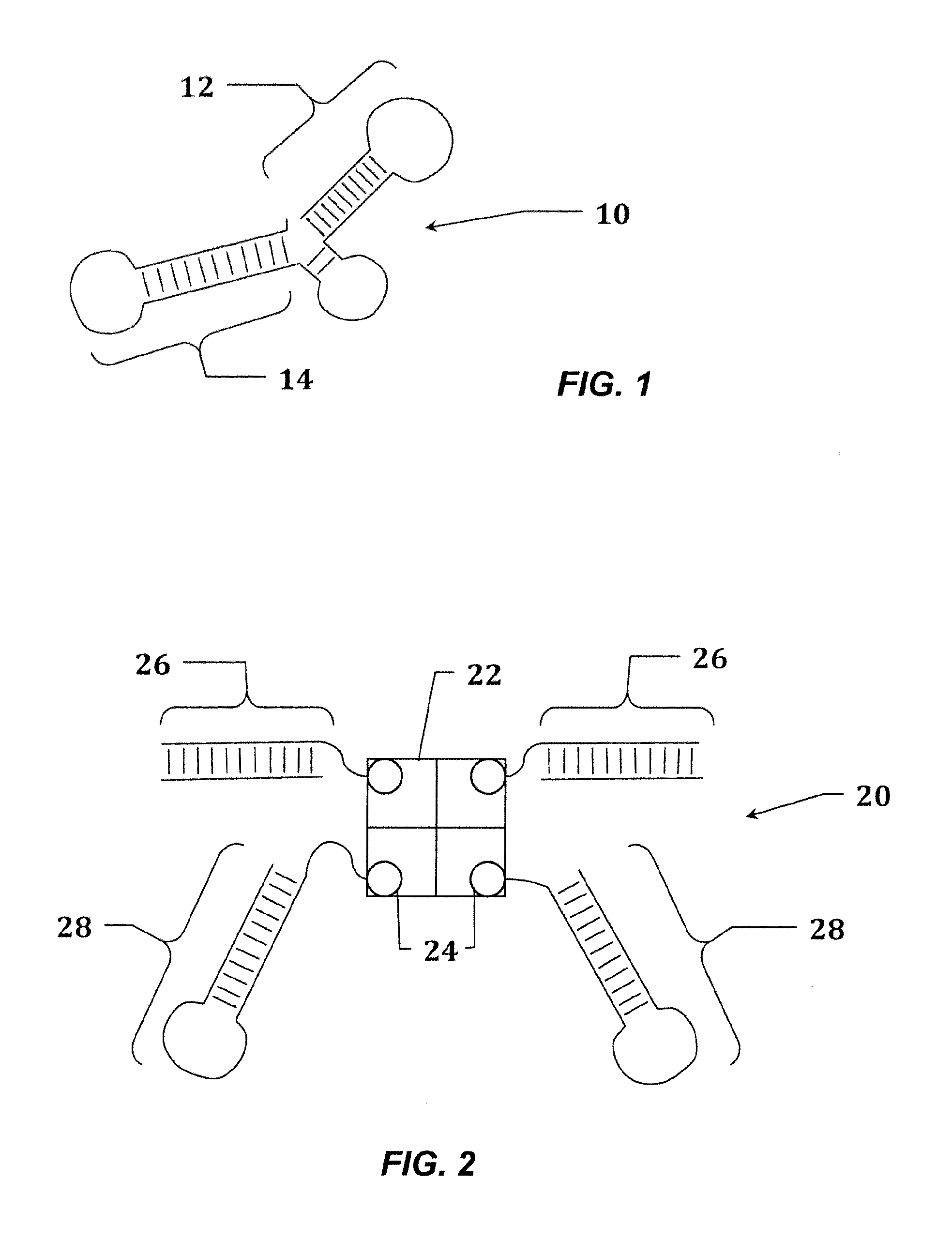 Paxillin as a therapeutic or diagnostic marker for cancer