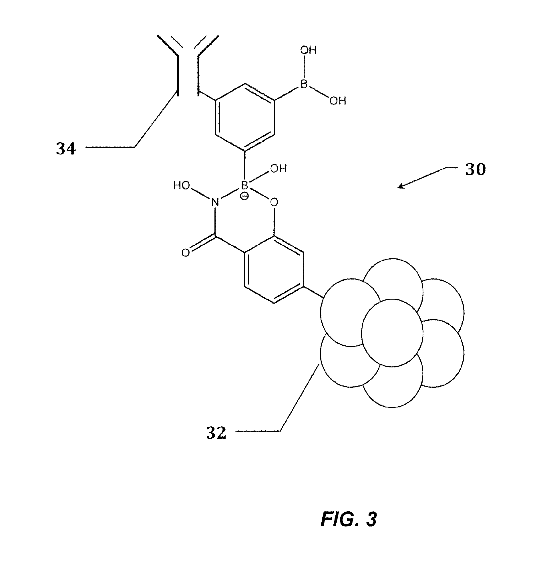 Paxillin as a therapeutic or diagnostic marker for cancer