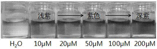 Method for visually and rapidly detecting organic mercury compound