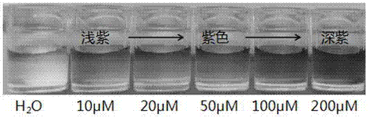 Method for visually and rapidly detecting organic mercury compound