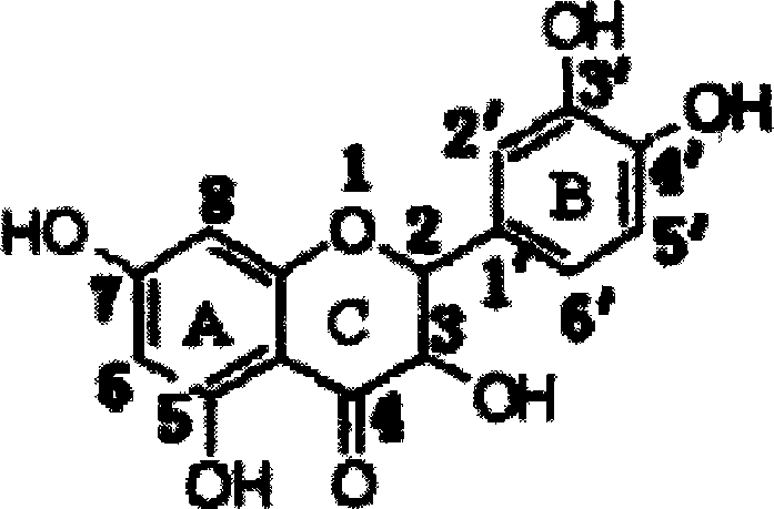 Method of extracting and separating dihydroquercetin from roxburgh engelhardtia leaf