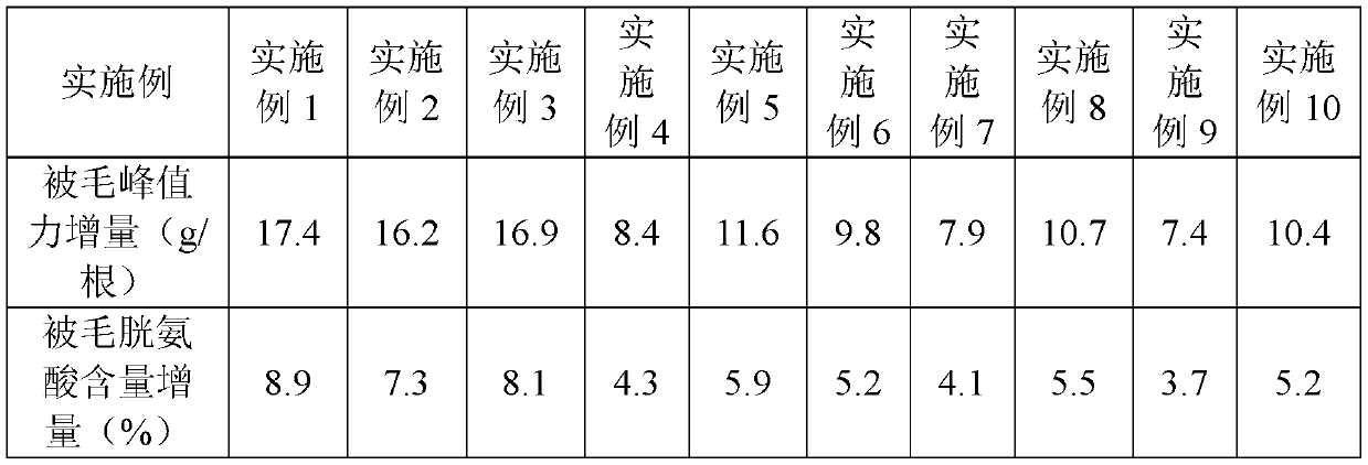 Natural dog food composition for protecting skin and brightening hair and preparation method thereof