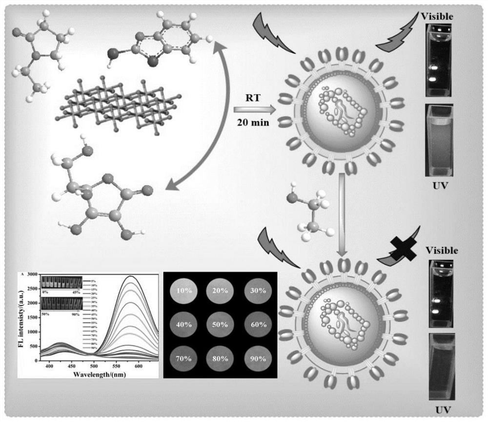 A fluorescent copper nanocluster, its preparation method and its application