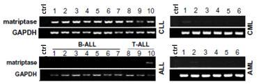 Application of Matriptase