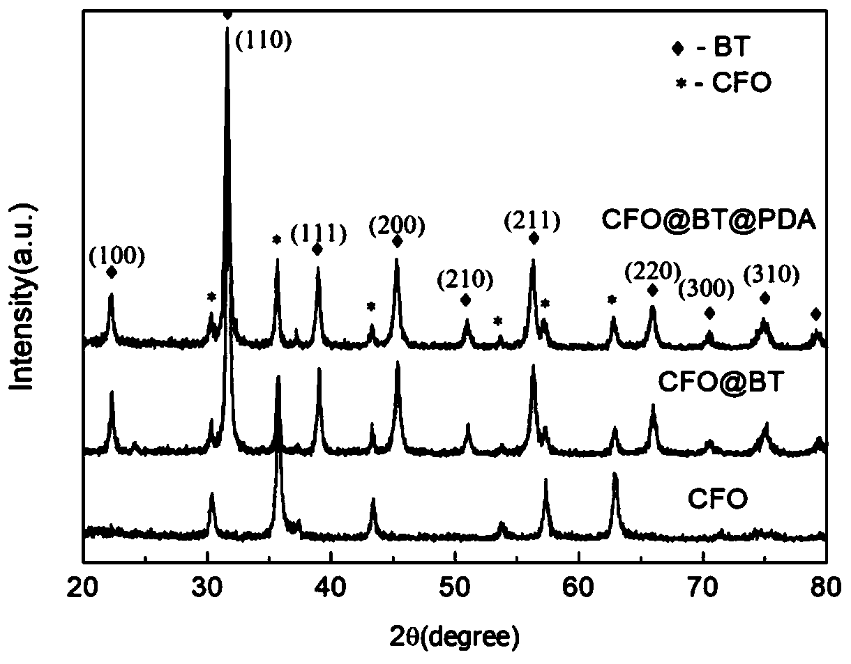 Ferromagnet composite polymer nanofilm and preparation method thereof