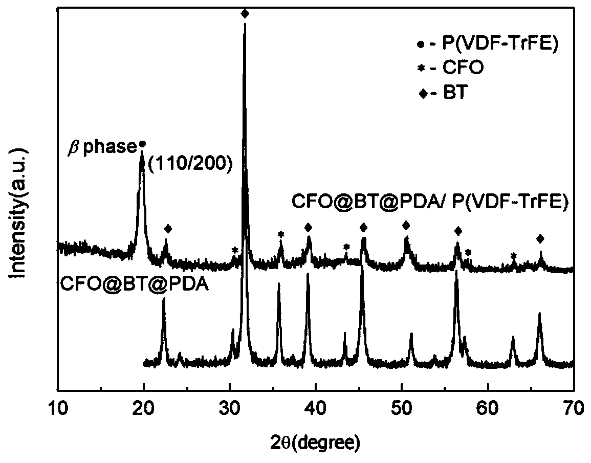 Ferromagnet composite polymer nanofilm and preparation method thereof