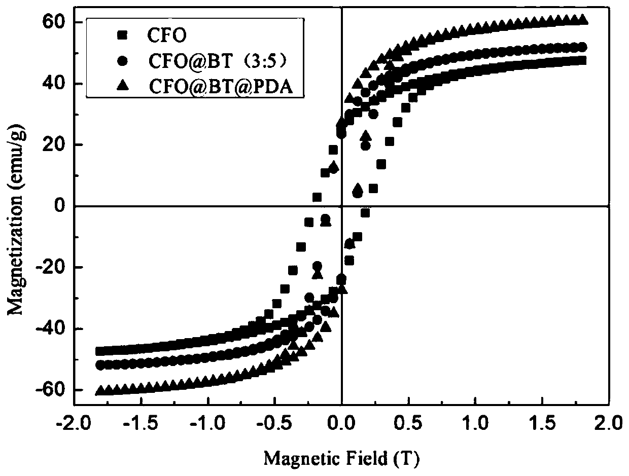 Ferromagnet composite polymer nanofilm and preparation method thereof