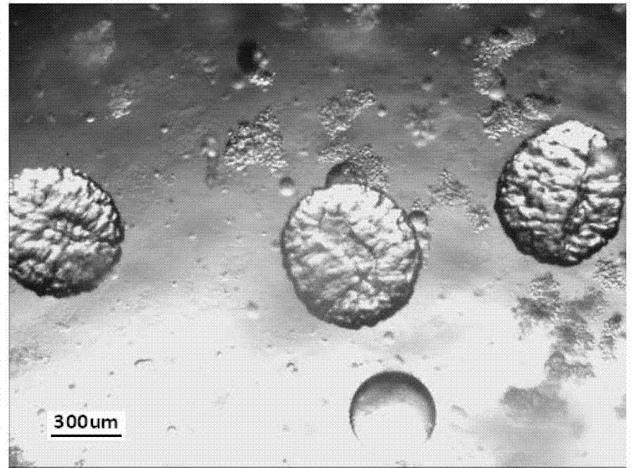 Grain size controllable monodisperse polyvinyl alcohol gel microsphere, preparation method thereof