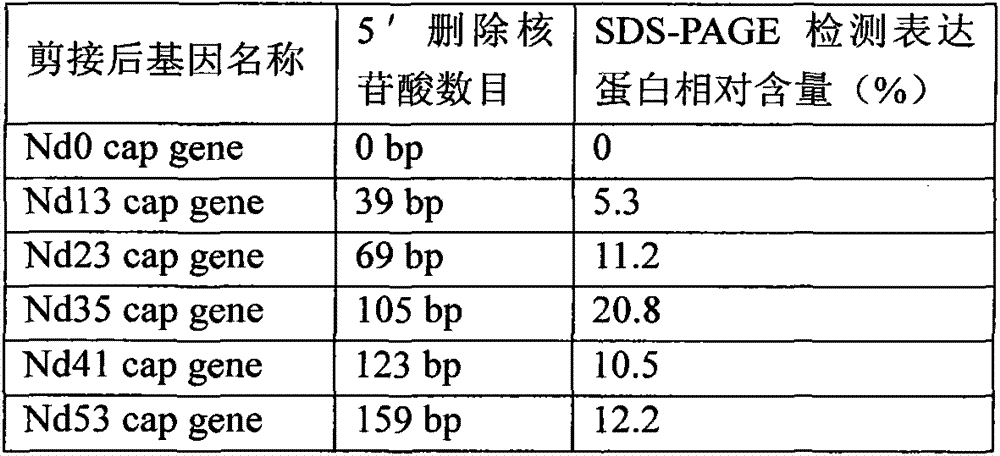 Porcine circovirus type II gene engineering subunit vaccine, and preparation method and application thereof