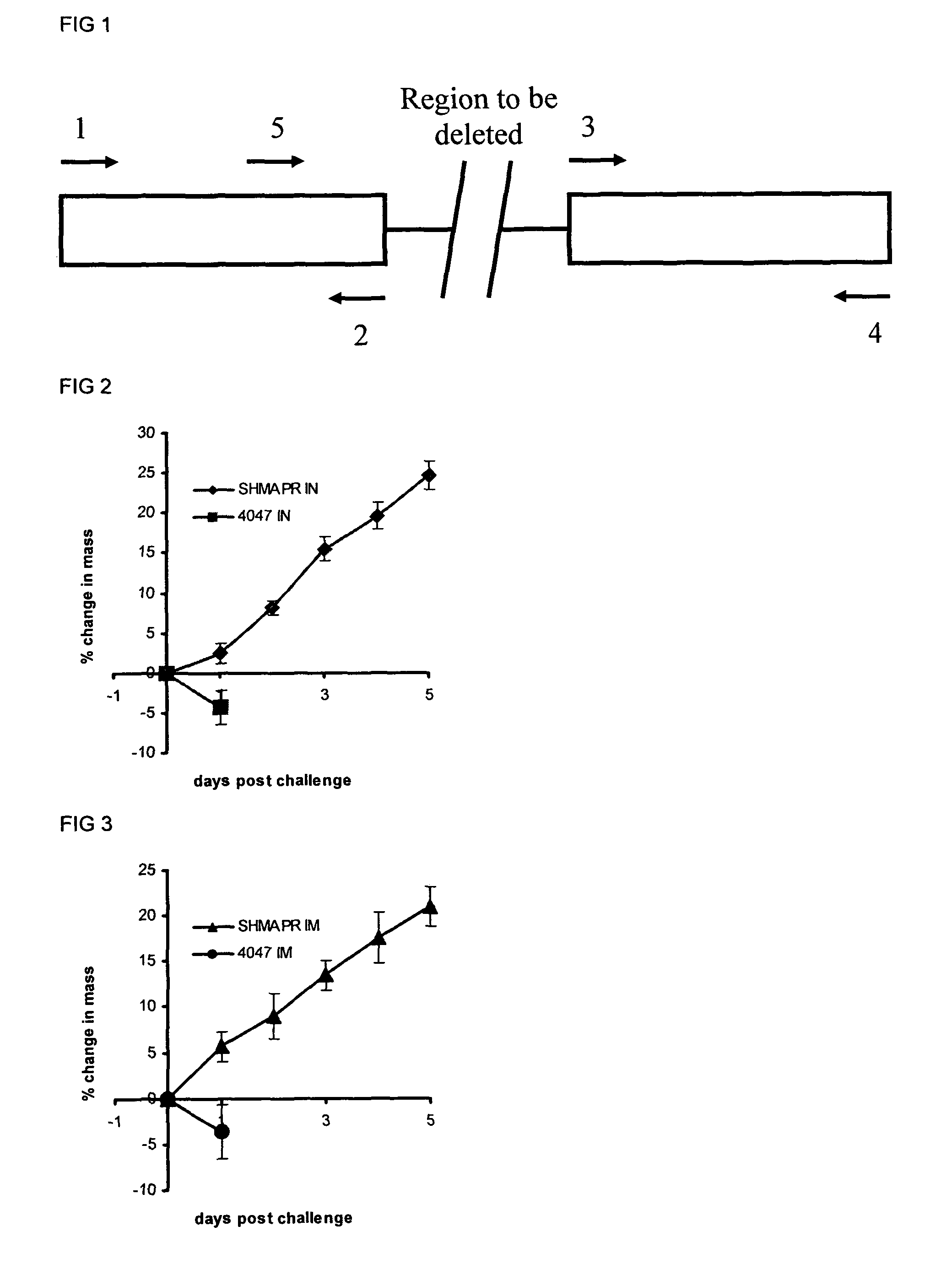 Streptococcus equi strain