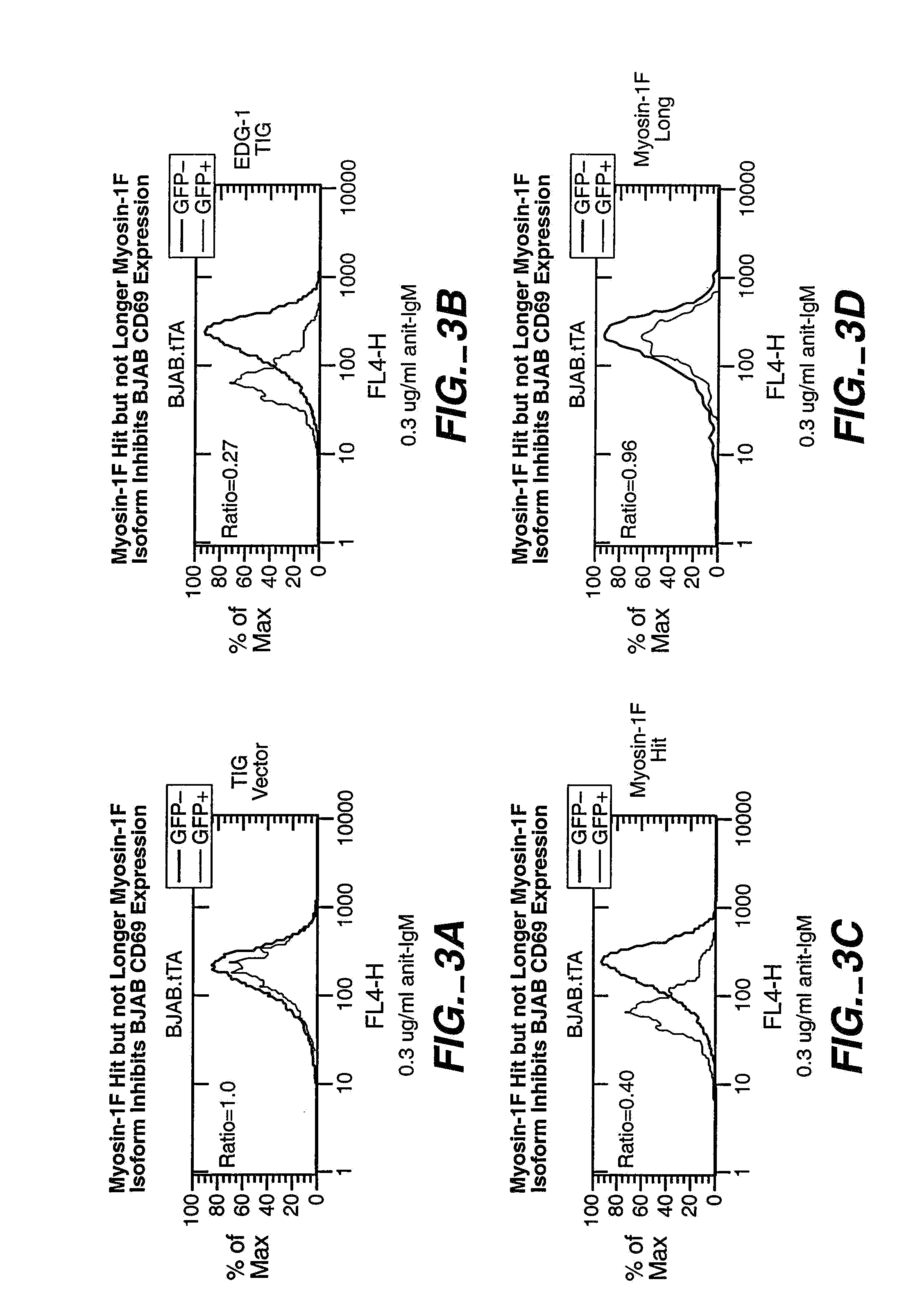 Modulators of B-lymphocyte activation, myosin-1F compositions and methods of use