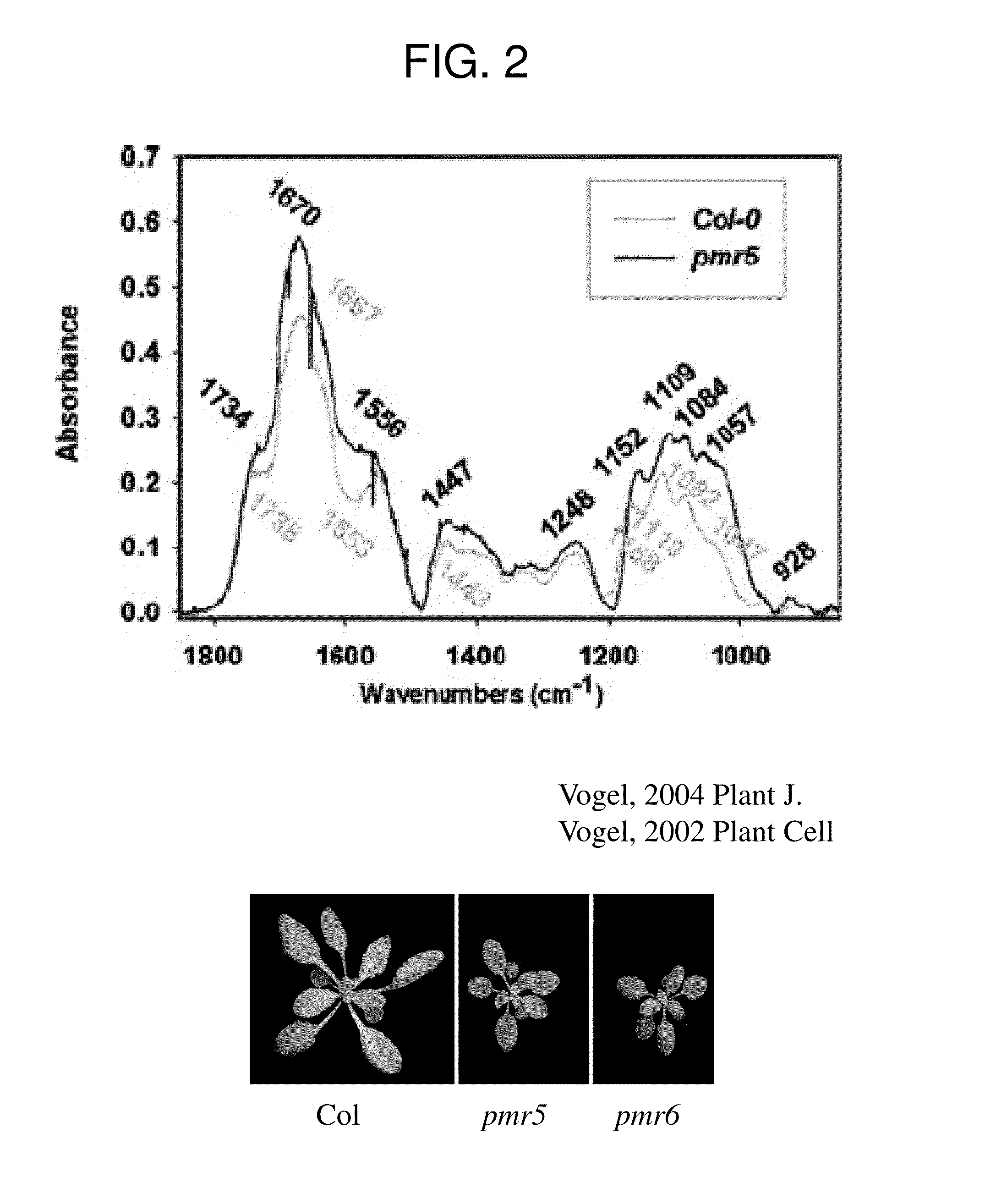 Multiplex chemotyping microarray (MCM) system and methods