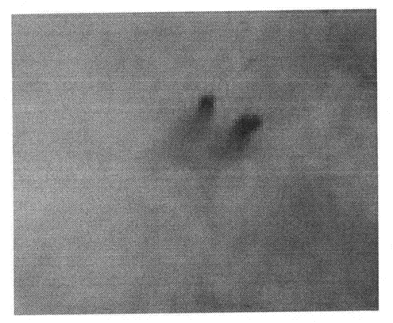 Method for measuring micro-tube density in SiC (silicon carbide) crystal